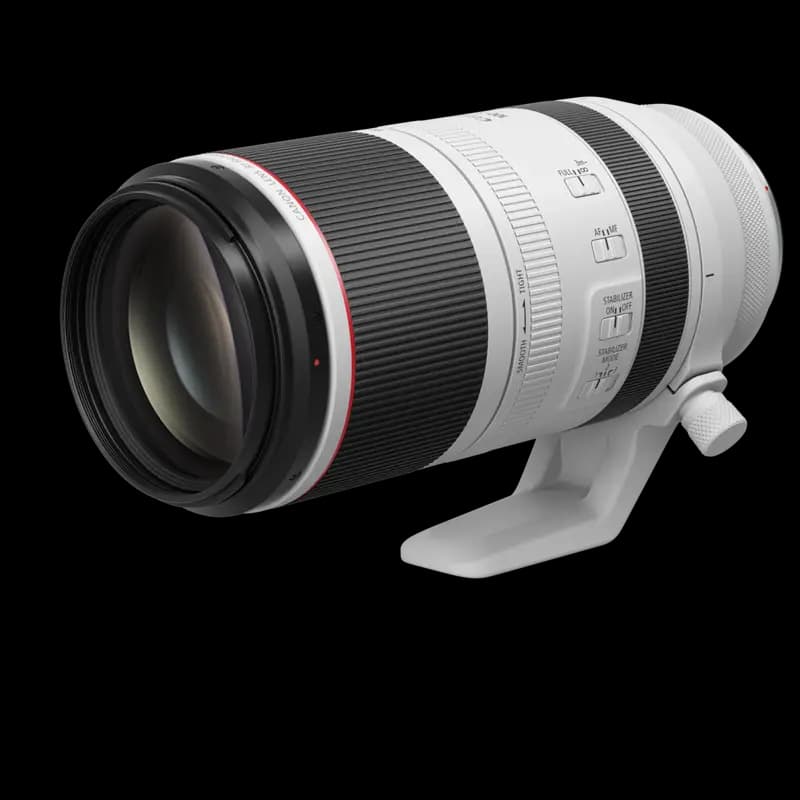 Canon RF 100-500mm f/4.5-7.1L IS USM