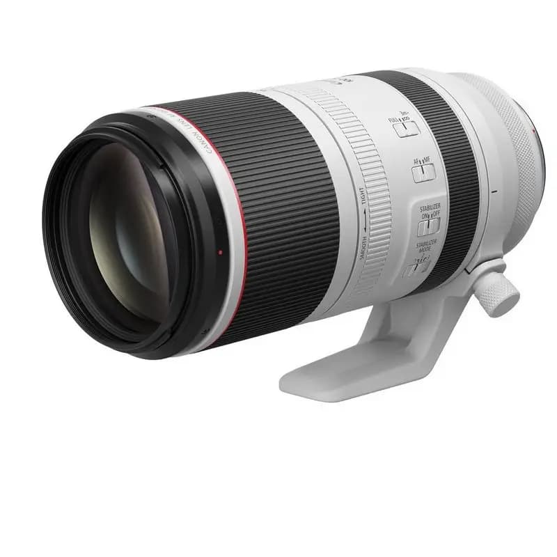 Canon RF 100-500mm f/4.5-7.1L IS USM - фото 4