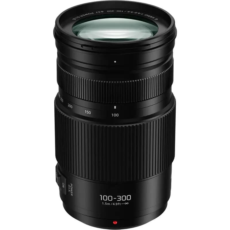 Panasonic 100-300mm f/4.5-5.6 II Power OIS  - фото 4