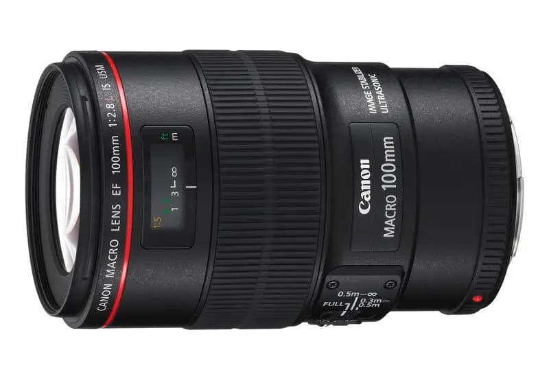 Canon EF 100mm f/2.8L IS USM - фото 4