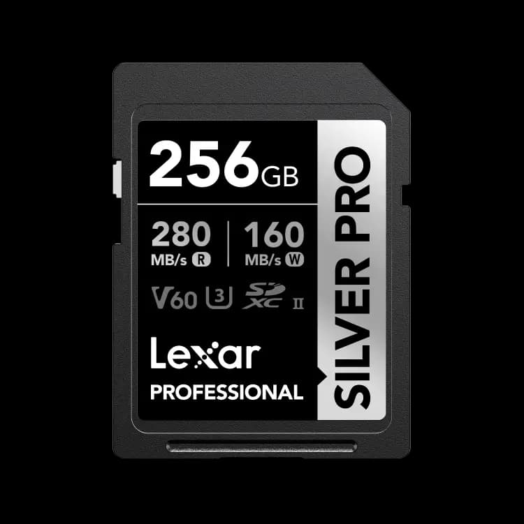 Lexar V60 256 GB Silver Pro